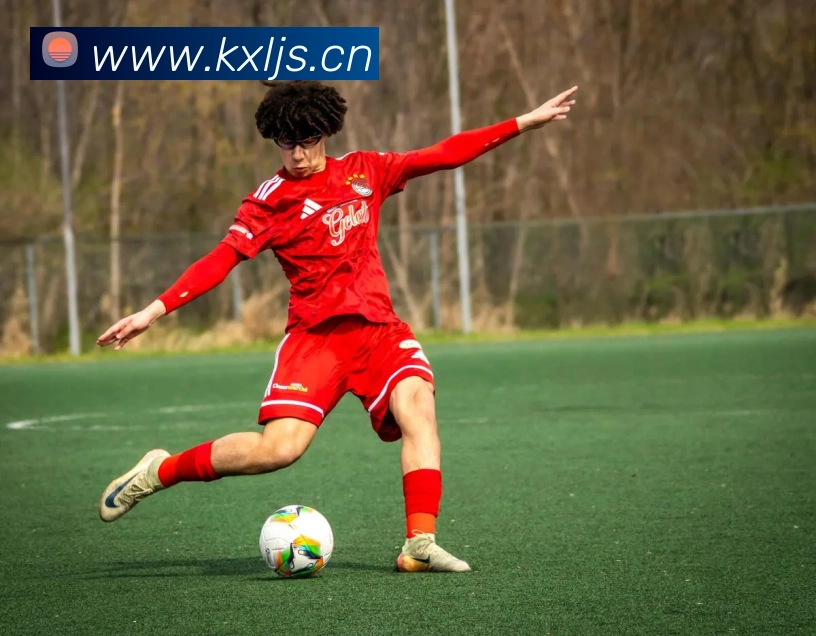 App Interface Preview